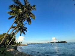 Ocean Drive (D4), Detached #553911911
